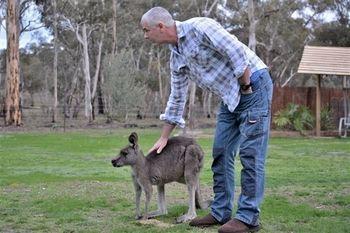 Stawell Holiday Cottages Esterno foto